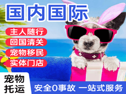 观音航空货运国际宠物托运 【国